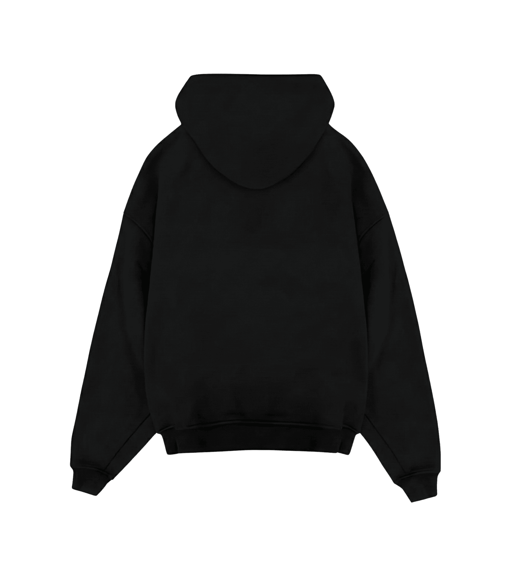 Led zeppelin zipper hoddie - OCD